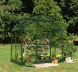 6 x 4 Halls Forest Green Popular